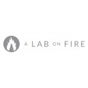 A Lab On Fire samples